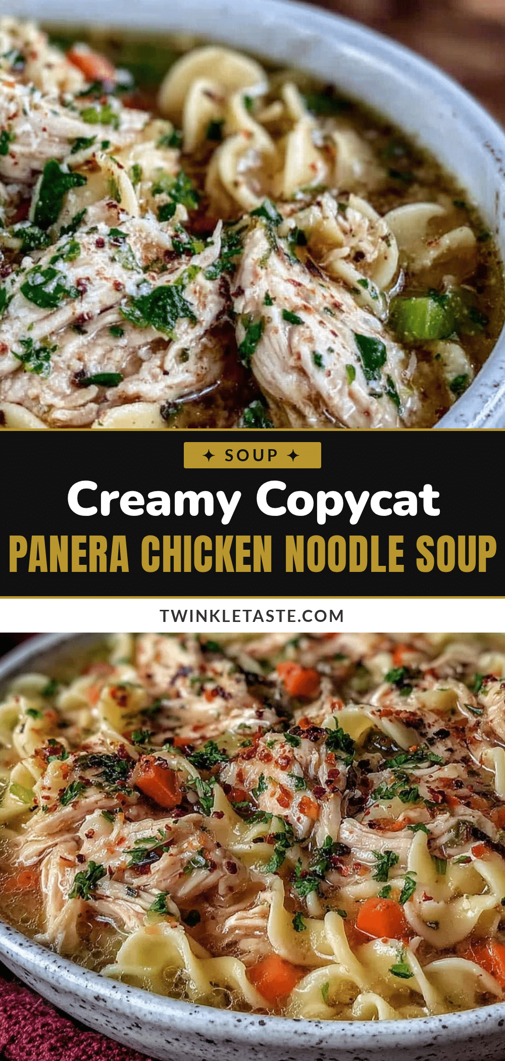 Cozy Copycat Panera Chicken Noodle Soup recipe