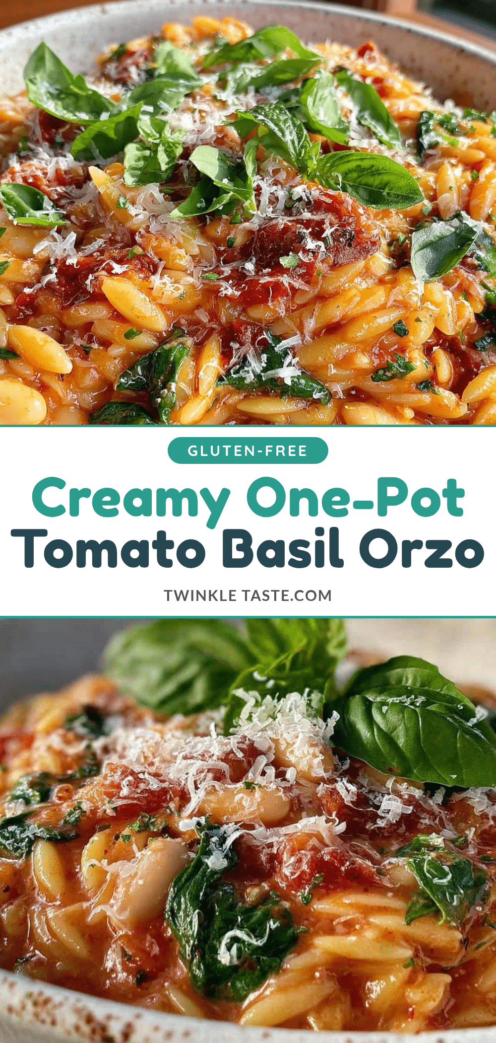 creamy one-pot tomato basil orzo recipe