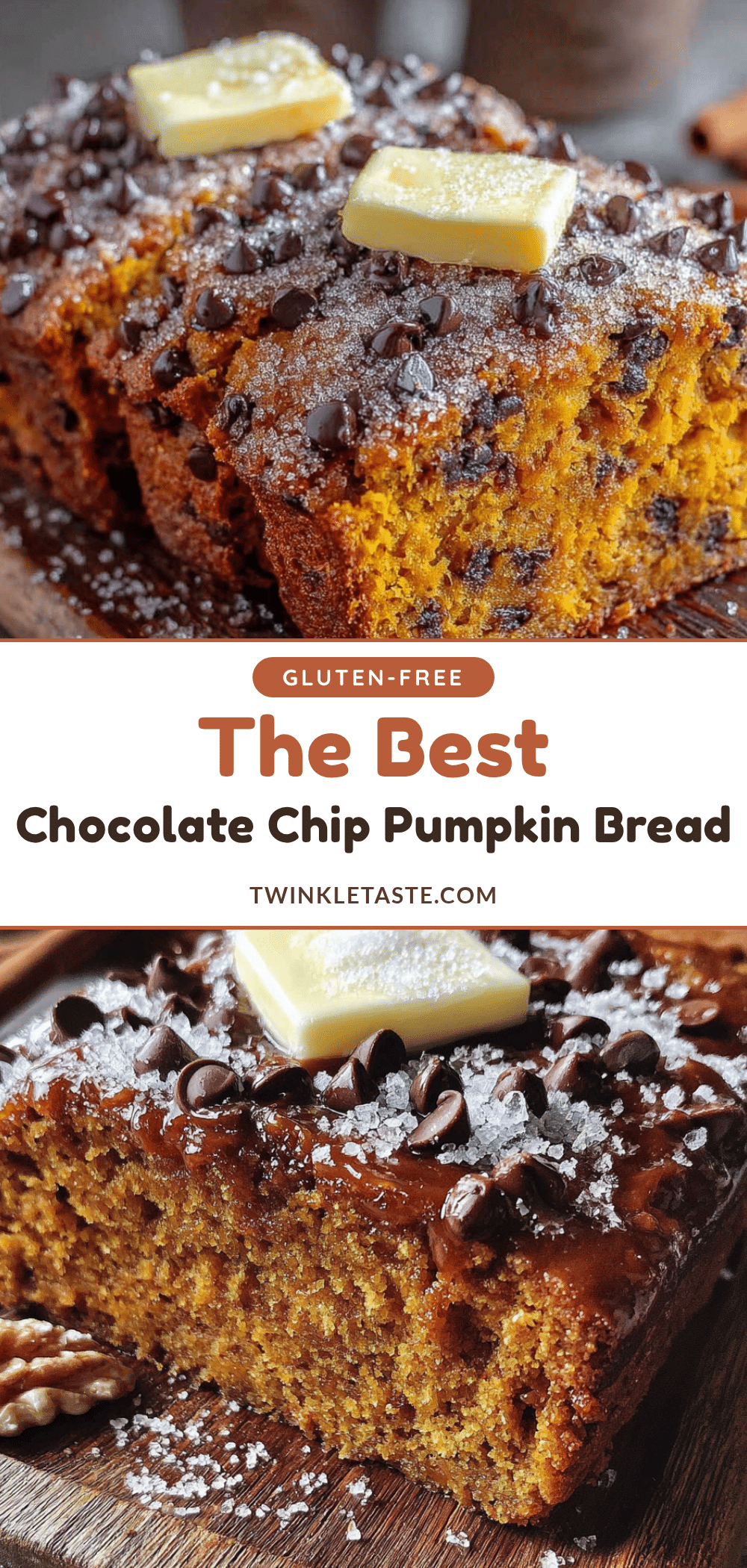 chocolate chip pumpkin bread recipe