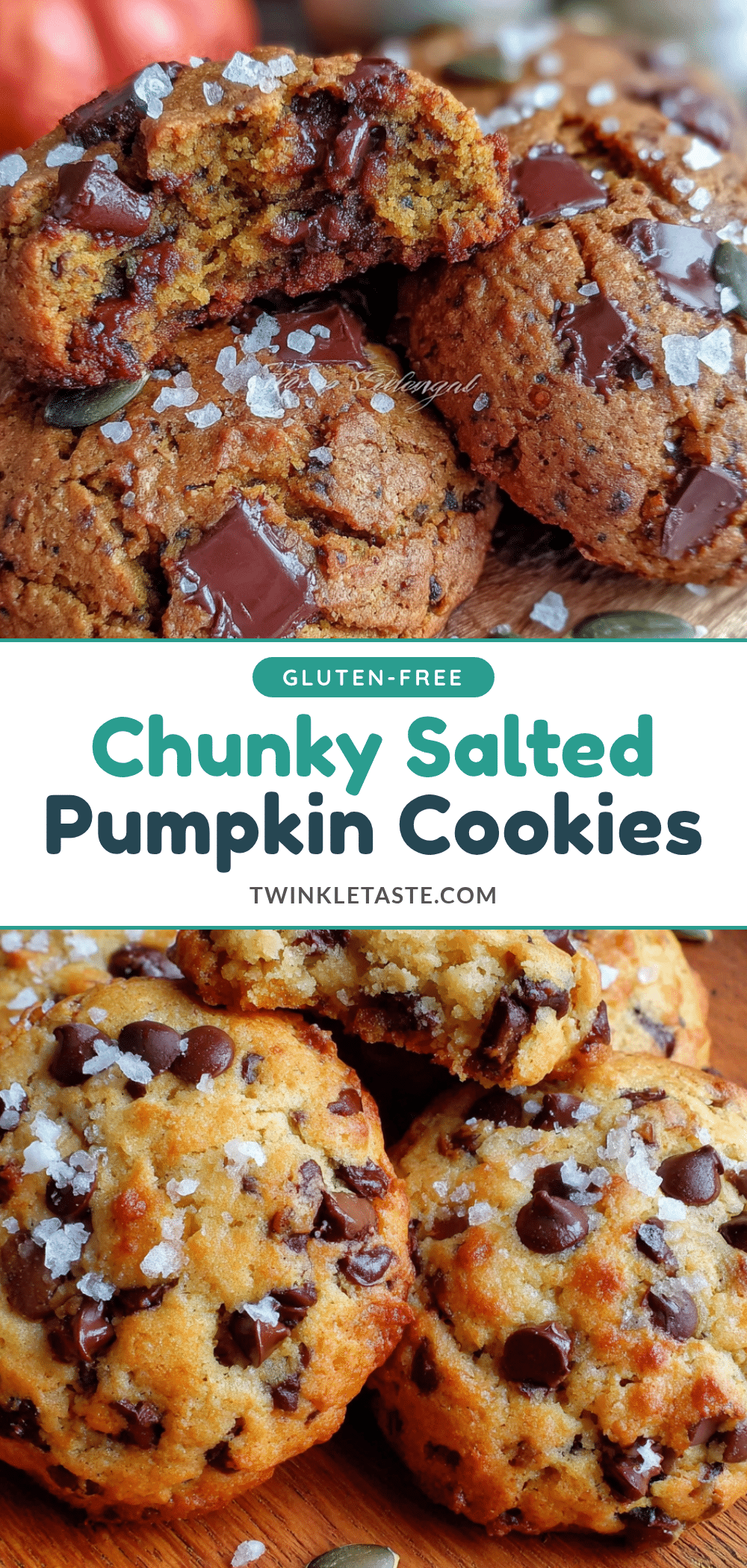chunky pumpkin chocolate chip cookies with sea salt recipe