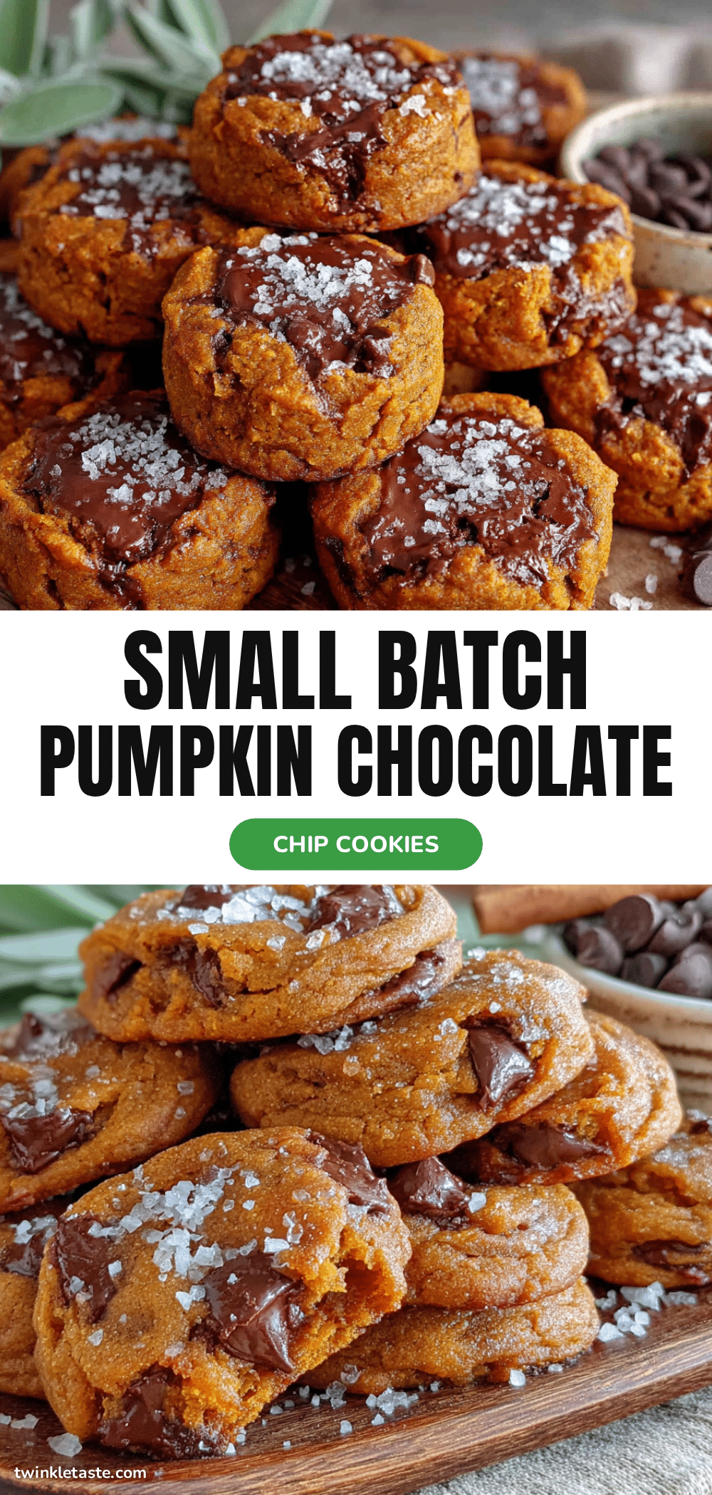best easy small batch pumpkin chocolate chip cookies recipe