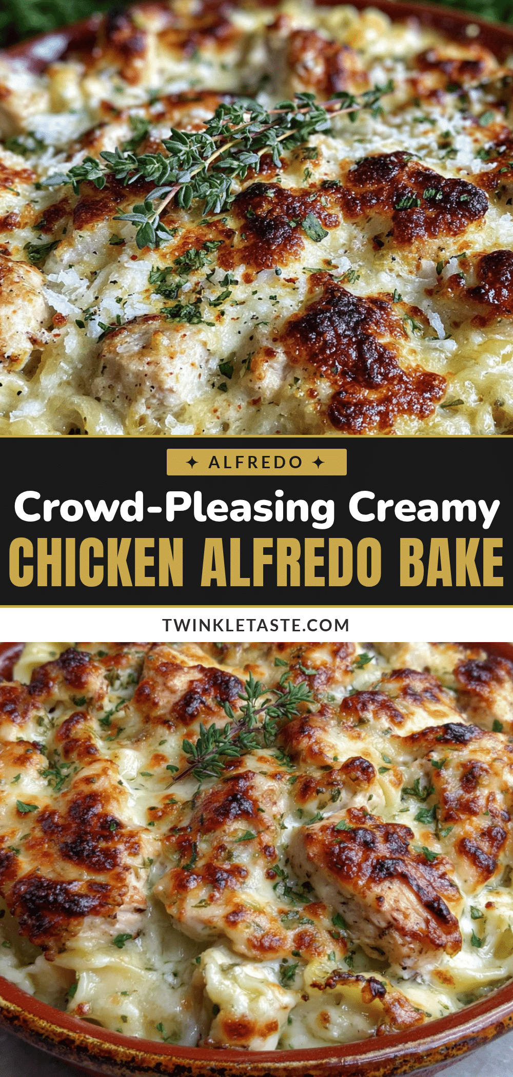 creamy chicken alfredo bake recipe